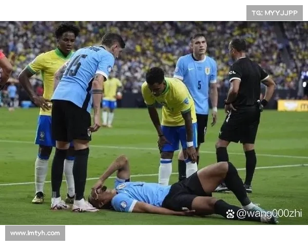 全面解读巴西队夺得美洲杯冠军的历史意义与足球实力展现